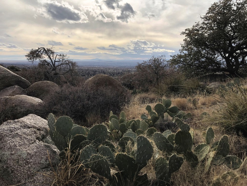 Landscape Vista